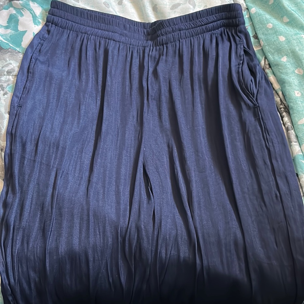 Philosophy dressy material pants
